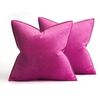 Catzon 2 Pcs Decorative Velvet Throw Pillow Covers Soild for Home Car 60X60cm-Rose Red