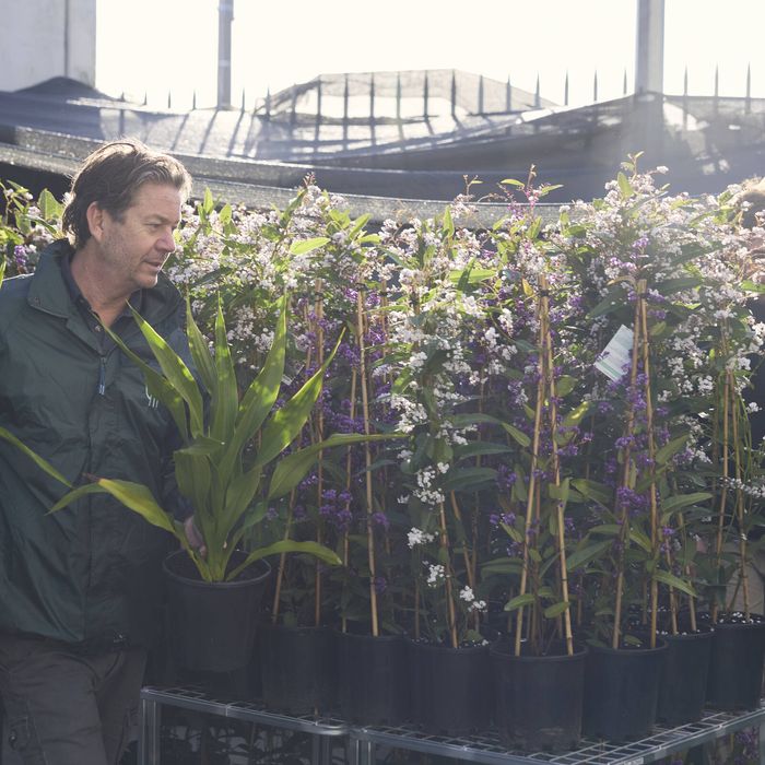 Two men standing next to a table with plants on it outside.