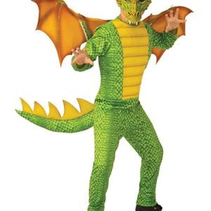 Mythical Green Dragon Boys Book Week Costume - 3-5