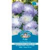 Mr Fothergill's Aster Dutchess Blue Ice Seeds