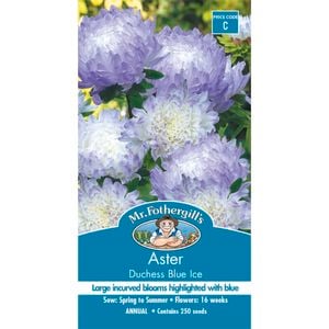 Mr Fothergill's Aster Dutchess Blue Ice Seeds
