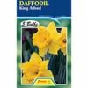 Fiesta Flower Bulbs Daffodil King Alfred - 5 Bulbs