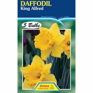 Fiesta Flower Bulbs Daffodil King Alfred - 5 Bulbs
