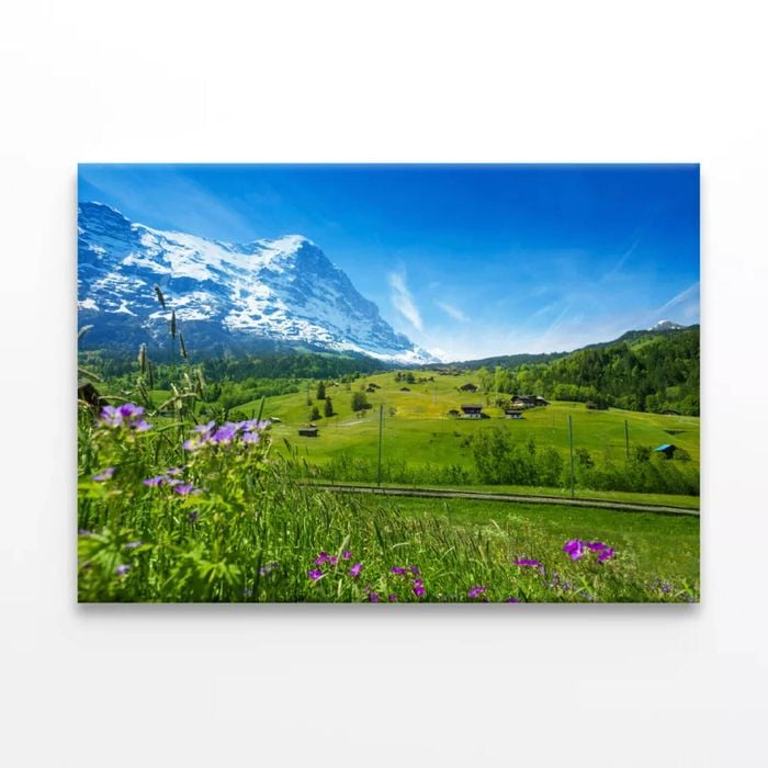 Flowers with Sky & Mountains  Print 100% Australian Made 90 x 60cm  (Stretched)