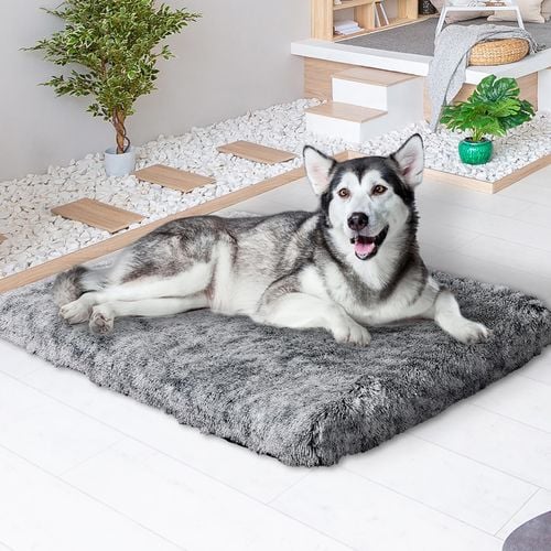 Bunnings dog mat best sale