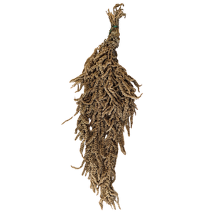 Blooms Of Joy 50-80cm Sand Amaranthus Flowers