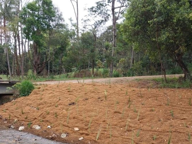Coir Net with plants