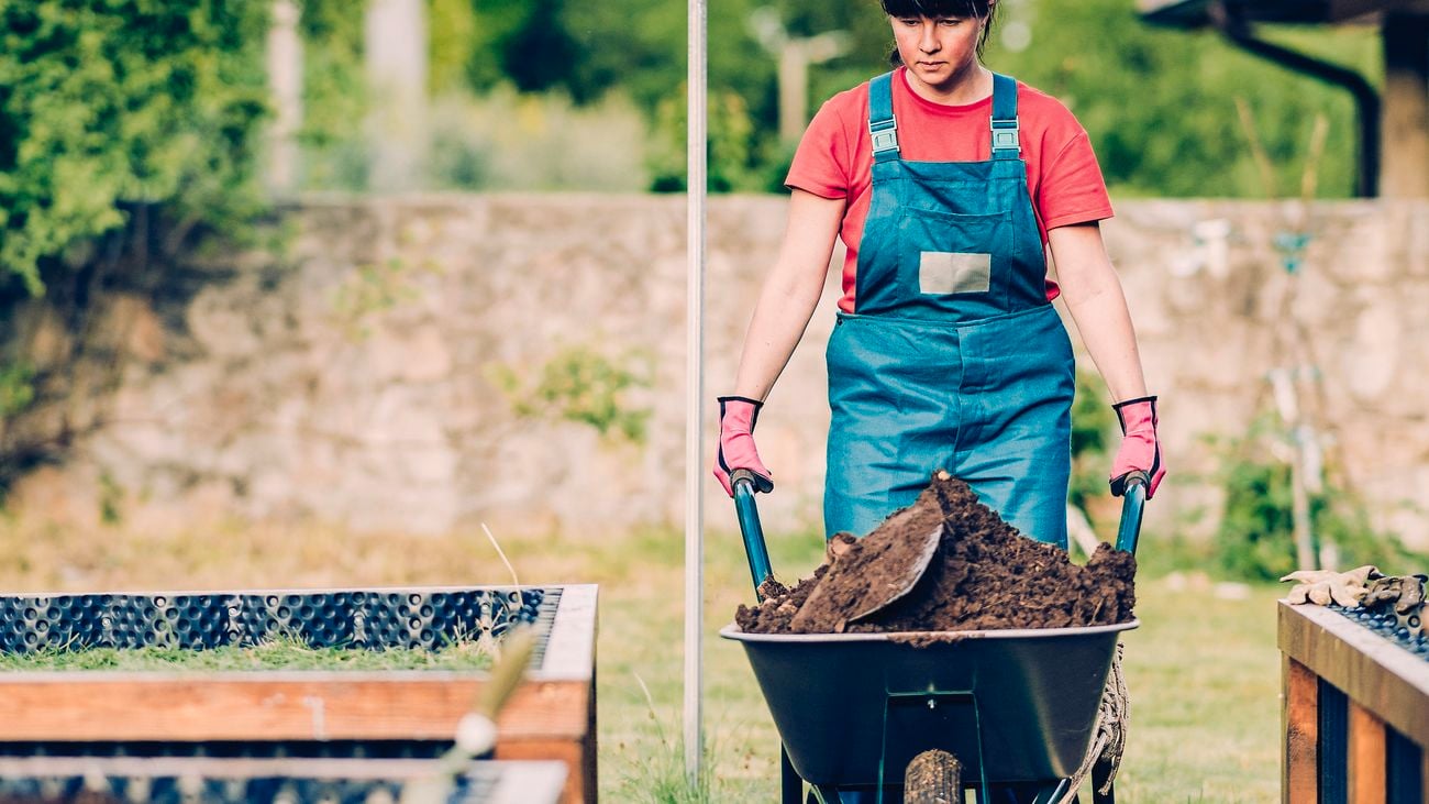Woman pushing a wheelbarrow filled with soil