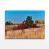 Grass With Trees an Autumn Vibe  Print 100% Australian Made 75 x 50cm  (Stretched)