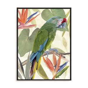 Artey | Tropical Parrot Composition I - Framed Canvas - Black Frame - 112 x 150cm