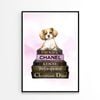 Dog On Book set Fashion Art   Print 100% Australian Made 60x90cm  (Poster)