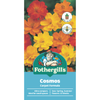 Fothergill's Cosmos Carpet Formula