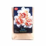 Yarra Valley Bulbs Daffodil Replete - 2 Pack