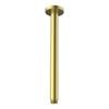 Mondella 300mm Brushed Brass Resonance Ceiling Shower Arm