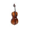 Axiom Concerto Cello 4/4 Full Size Cello Outfit
