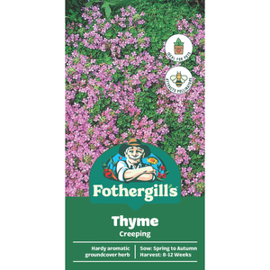 Fothergill's Thyme Creeping Seeds