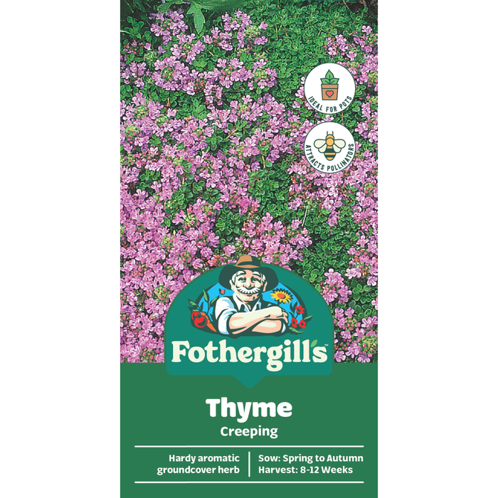 Fothergill's Thyme Creeping Seeds
