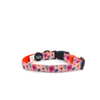 Holly & Co Sweet Coraline Large Orange Stylish Dog Collar