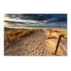 Sand Path to North Sea  Print 100% Australian Made 120 x 90cm  (Acrylic)