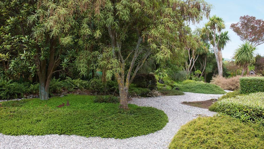 A lush green garden with a central tree, winding gravel path, and dense foliage in the background.