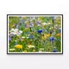 Flowering Meadows View  Print 100% Australian Made 120x90cm  (Poster)