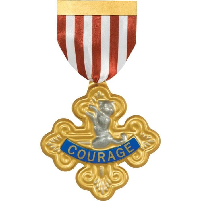 Cowardly Lion's Badge of Courage, Wizard of Oz Halloween Costume Accessory, One-Size