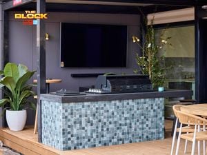 Outdoor area with a TV, barbecue and plants in it.