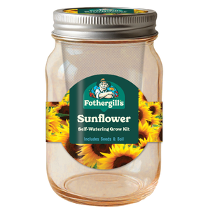 Fothergill's Self-Watering Mason Jar Sunflower