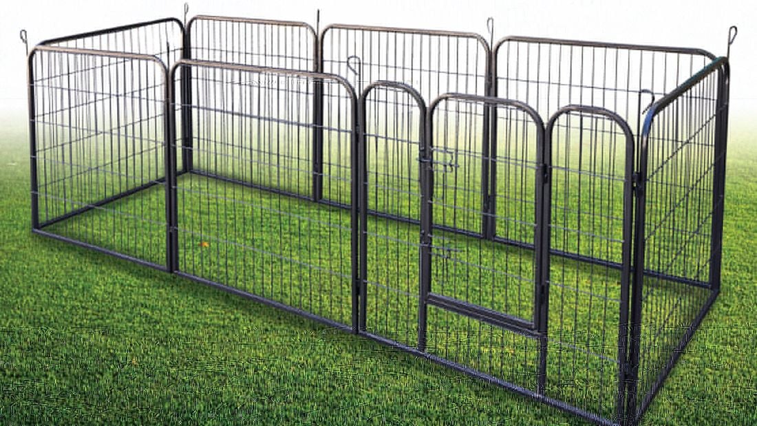 Animal enclosure set up to house animals