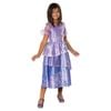 Disney Size 9-10y Isabela Deluxe Encanto Kids Costume Cosplay Dress Up Party