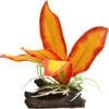 Aqua One Orange Sword W/Log Base Plastic Plant  - Small (28182)