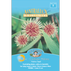 Mr Fothergill's Pincushion Hakea Flower Seeds