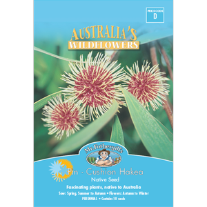 Mr Fothergill's Pincushion Hakea Flower Seeds