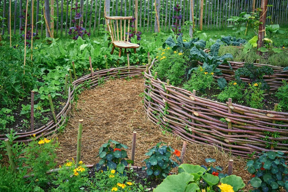 A vegetable garden with fences made from tree branches and a winding path