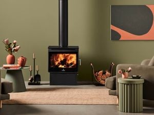 A fireplace in a living room with green walls and timber furnishing