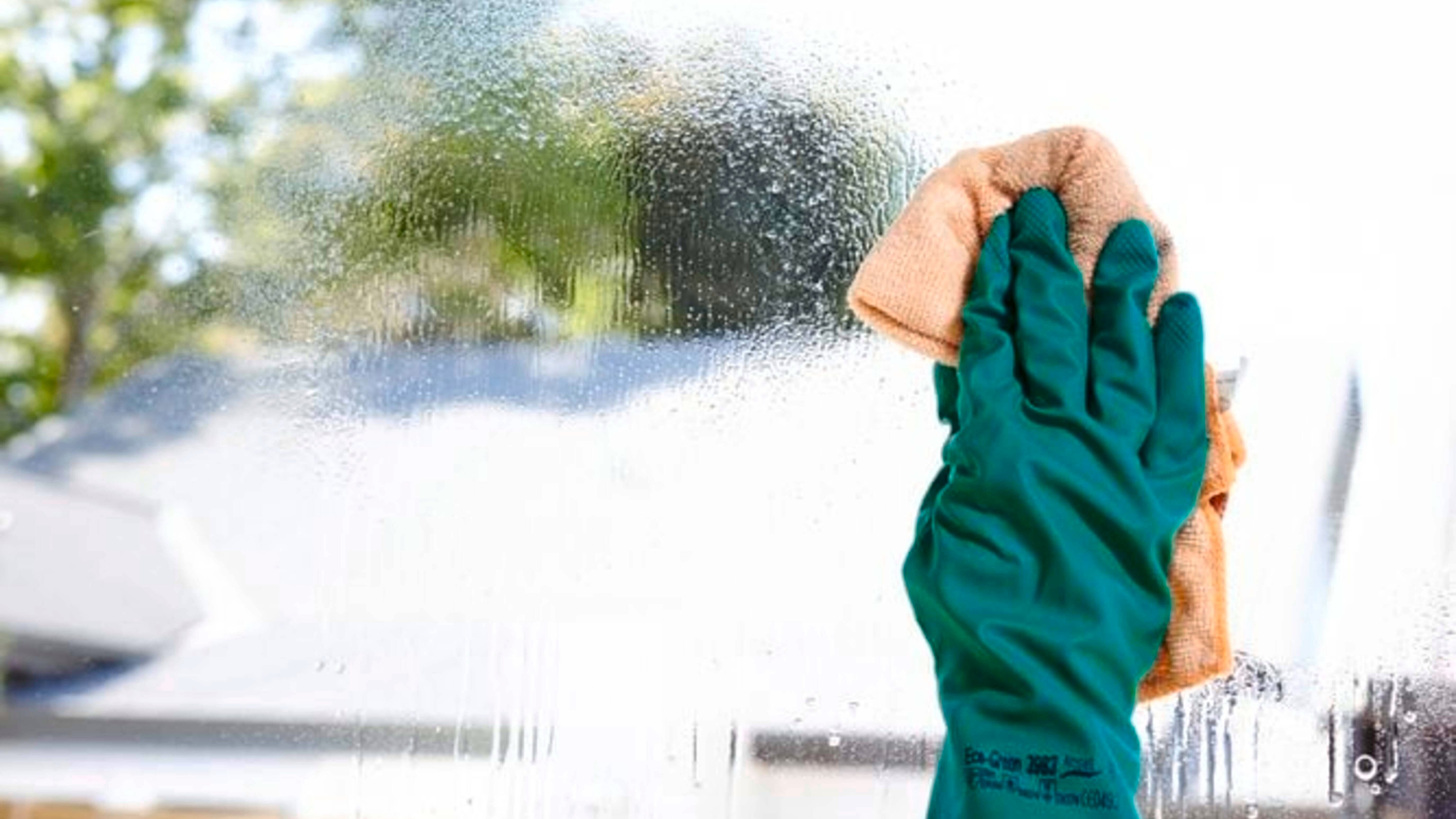 Gloved hand using a cloth to clean a large glass window covered in cleaning solution, with an outdoor view blurred in the background.