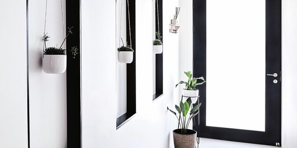 Hanging plants - Black window frames - Hallway - Bunnings magazine - Medium