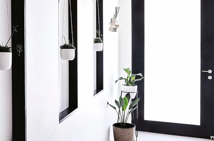 Black and white coloured hallway with indoor plants
