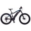 NCM Aspen Plus Fat Electric Bike, E-Bike, 48V 16Ah 250W, E-MTB 768Wh Battery [Black 26]