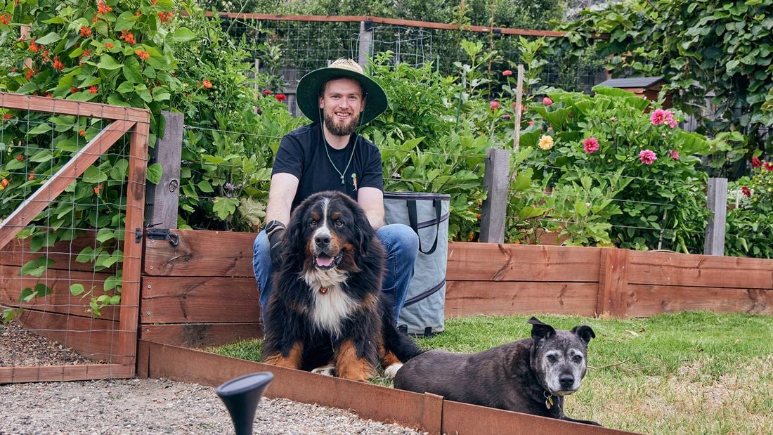 Ash Burke seated in a garden with two dogs, one large and one medium-sized, and a garden bag in the background. A garden with raised wooden beds filled with flowering plants, a gravel path and a wooden gate in the foreground.