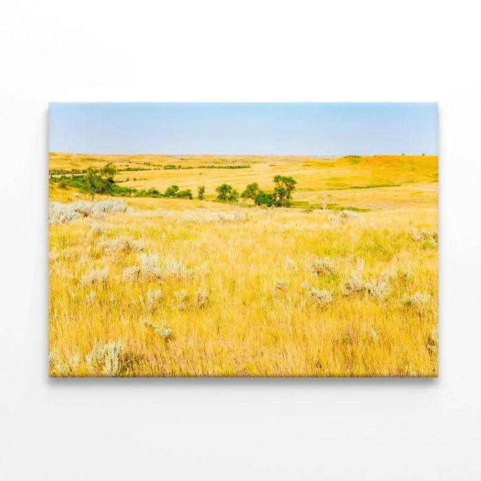 Grassland in North Dakota  Print 100% Australian Made 120 x 90cm  (Stretched)