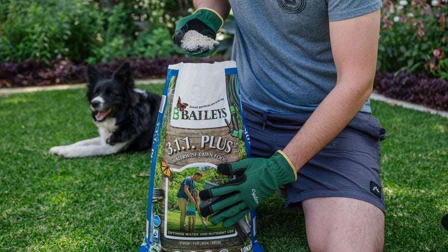Person holding Baileys 3.1.1. plus with dog in background.