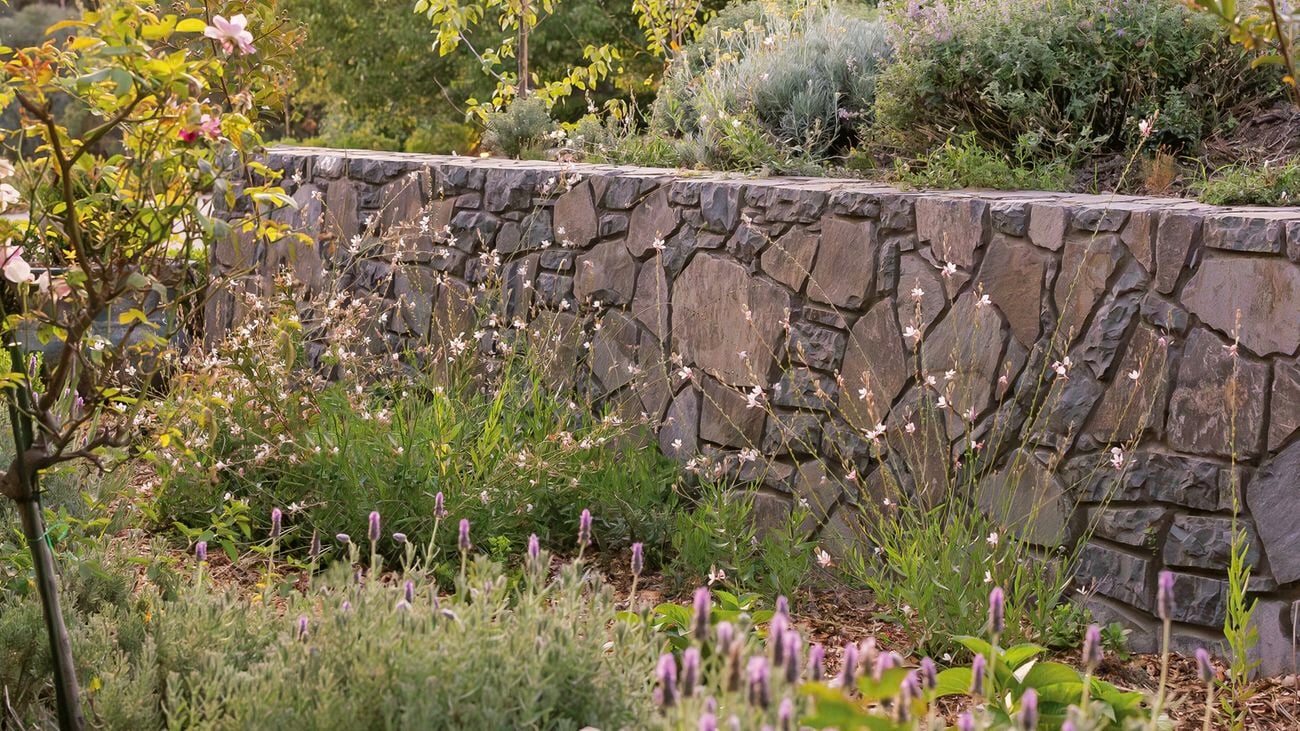 Tess chooses plants that are drought tolerant but still create a lush feel.