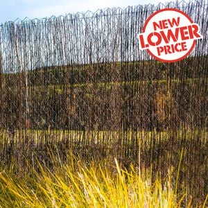 Malloy Economy 1.8 x 3.0m Brushwood Screen Fence - 3m