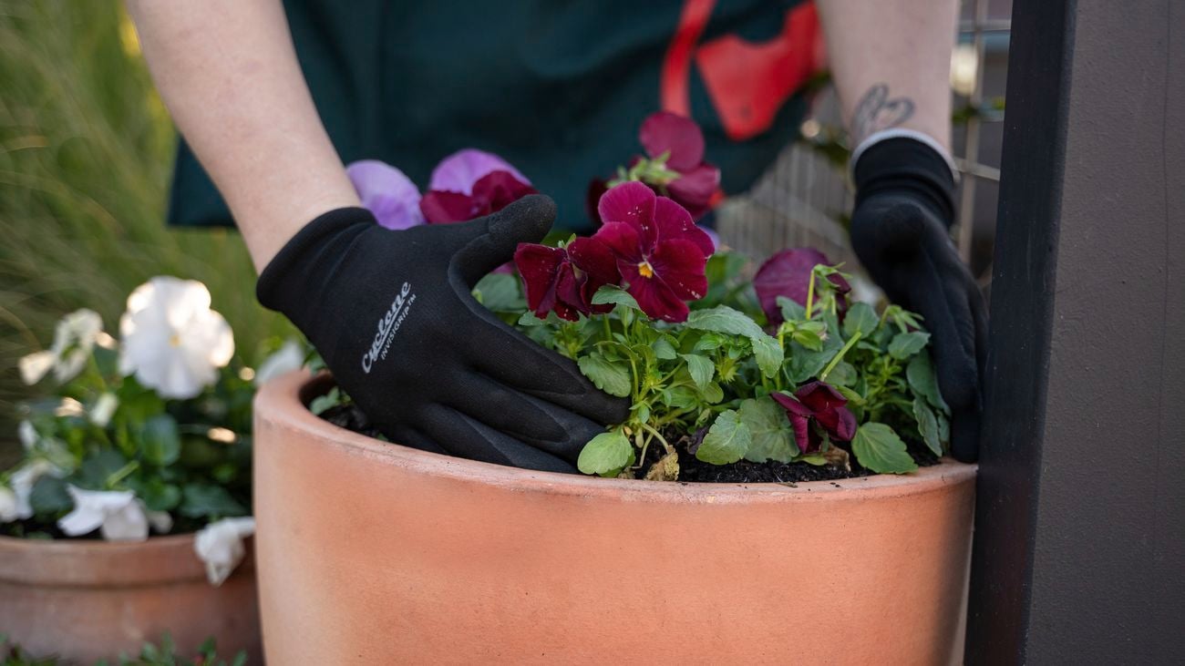 Shade strategies and practical raiser beds for a lush retreat