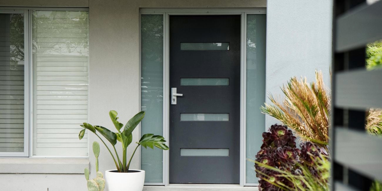 Grey front door with a cactus, peace lily and door mat on front of it.