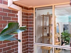 An image of a flyscreen has been installed on a window, with the interior showcasing shelves of decor and plants. ]    