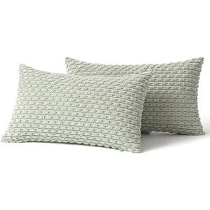 Catzon 2 Pcs Throw Pillow Covers Soft Striped Corduroy Cushion Case for Couch 30X50cm-Light Green
