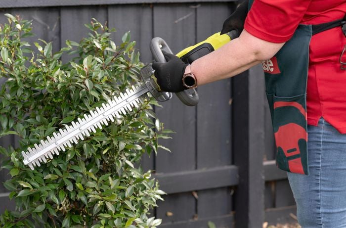 trimming hedge with hedgetrimmer