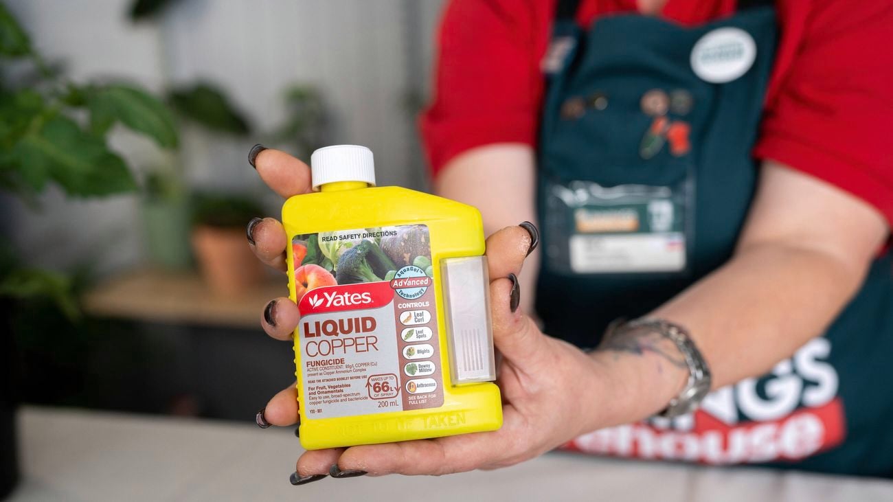 A Bunnings team member is holding Liquid Copper fungicide.